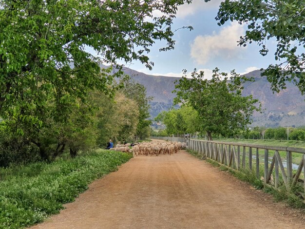 Vega Baja del Segura Orihuela Paisajes de la sierra la huerta y sus detalles