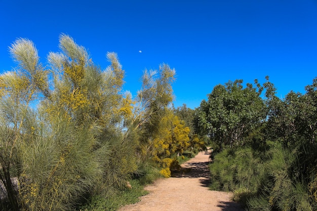 Vega Baja del Segura Orihuela Paisajes de la sierra la huerta y sus detalles