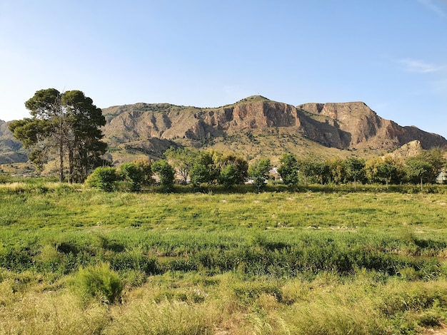 Vega Baja del Segura - Orihuela - Paisajes en la huerta de la Vega Baja