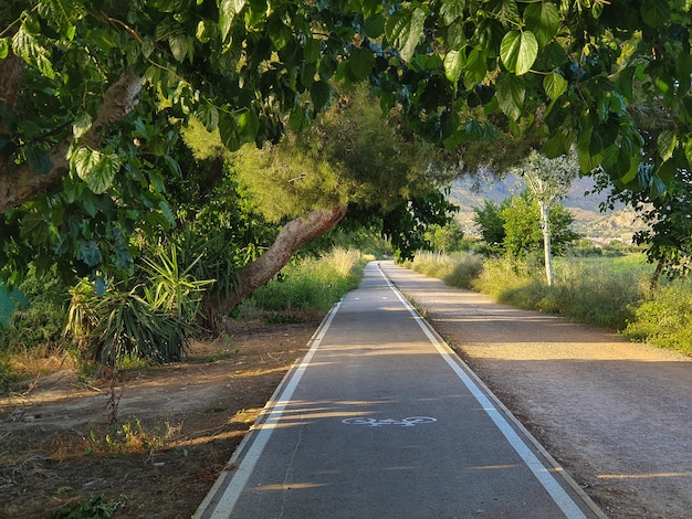 Vega Baja Del Segura - Orihuela - Paisajes En La Huerta De La Vega Baja