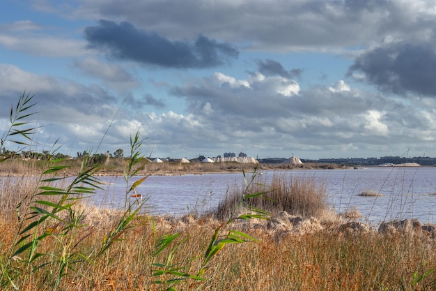 Vega Baja Del Segura - Paraje Natural Lagunas De La Mata Y Torrevieja