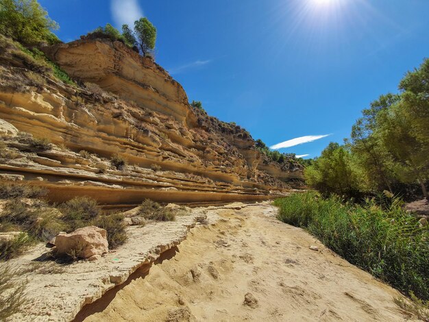 Vega Baja Del Segura Pilar De La Horadada Rio Seco