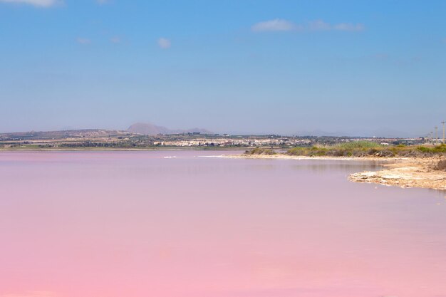 Vega Baja del Segura - Salinas de Torrevieja - La Laguna Salada y su entorno, un paisaje unico