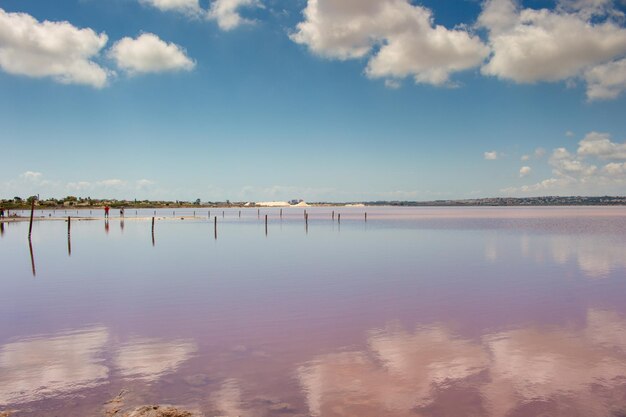 Vega Baja del Segura - Salinas de Torrevieja - La Laguna Salada y su entorno, un paisaje unico