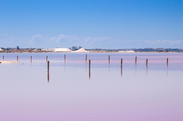 Vega Baja del Segura - Salinas de Torrevieja - La Laguna Salada y su entorno, un paisaje unico