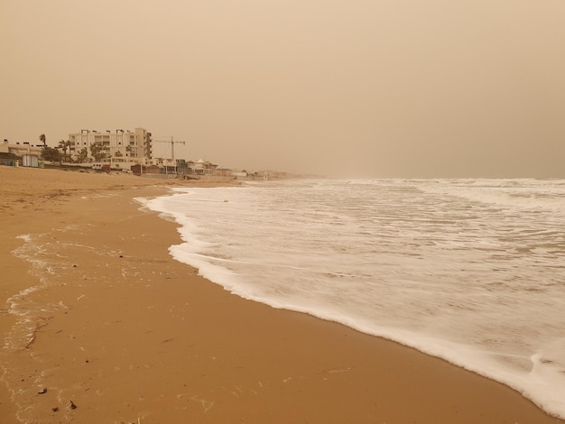 Vega Baja del Segura Torrevieja Calima i Playa de la Mata