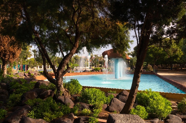 Vega Baja del Segura - Torrevieja - Parque de las Naciones