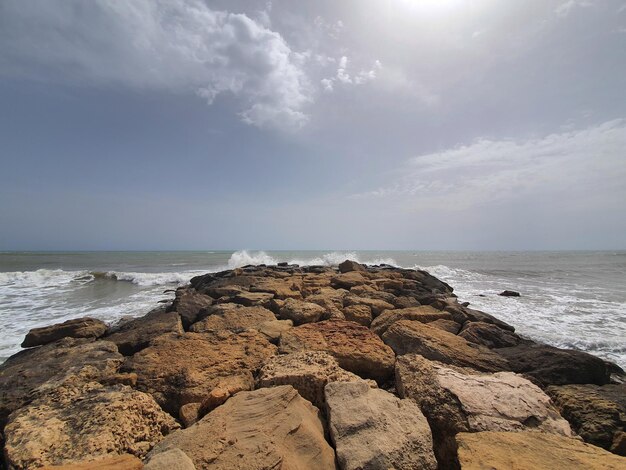 Vega Baja del Segura - Torrevieja - Playa de los Locos y Cala del Palangre