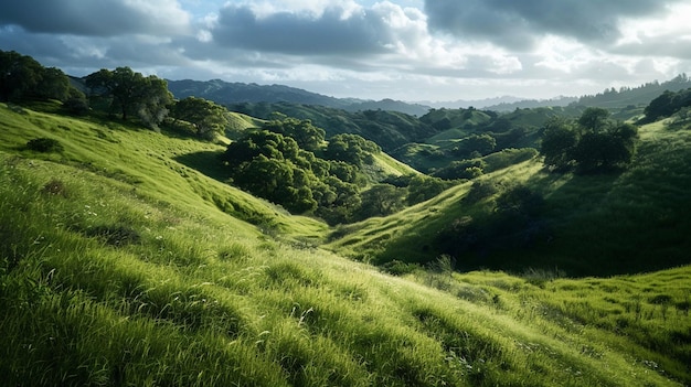 Verdant Vistas III Lush Landscape Trails Idyllic Hill