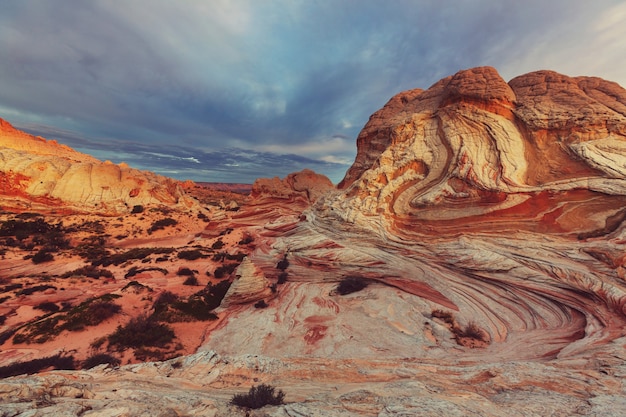 Vermilion Cliffs National Monument Krajobrazy o wschodzie słońca