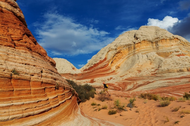 Vermilion Cliffs National Monument Krajobrazy O Wschodzie Słońca