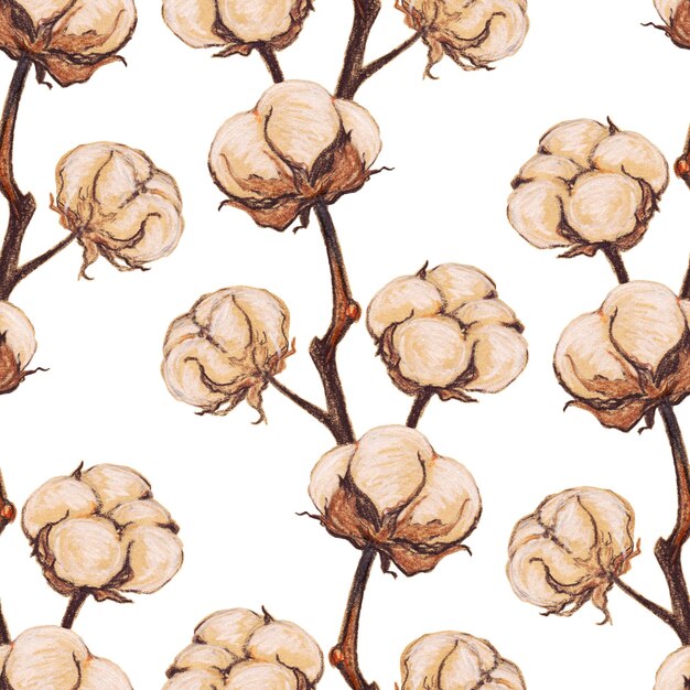 Vintage bawełna kwiat roślina sepia szkic wzór tekstury tła