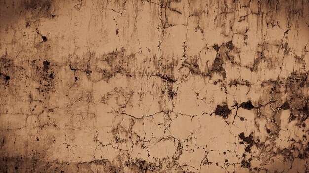 vintage grungy tekstura tło stara ściana cement