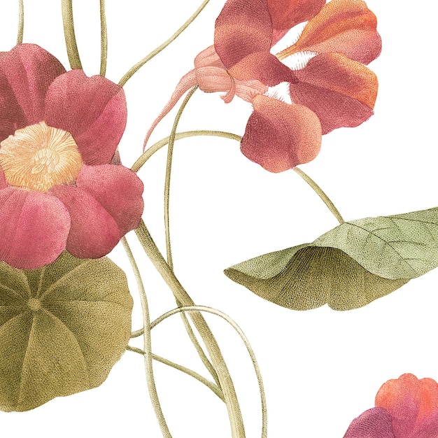 Vintage indyjska naklejka z kwiatem kresu ilustracja png zmiksowana z dzieł sztuki domeny publicznej