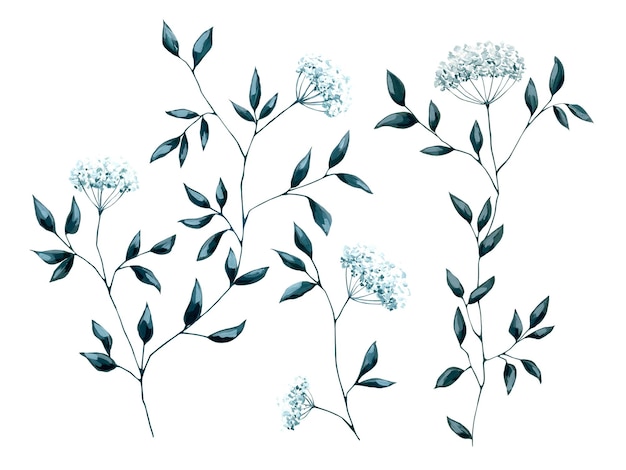Vintage kwiatowy zestaw klipów na białym tle Zielony biały kwiat liść ilustracja Retro design