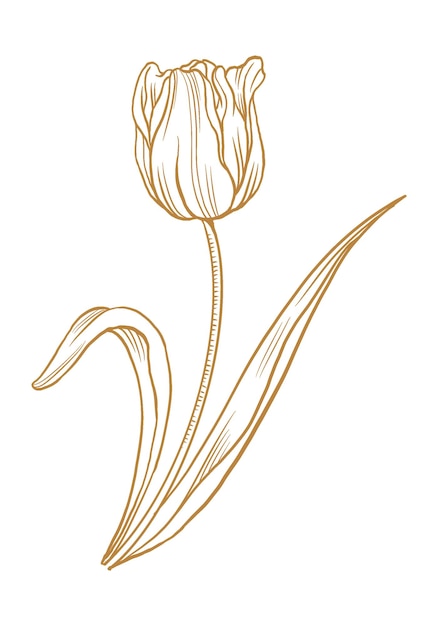 Vintage kwiaty tulipanów png sztuka tatuażu brązowa naklejka botaniczna