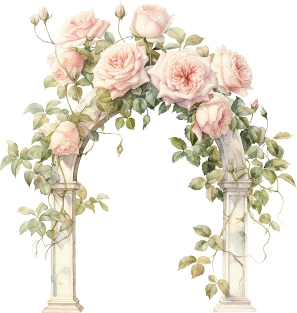Vintage łuk ozdobiony akwarelą róż na białym tle