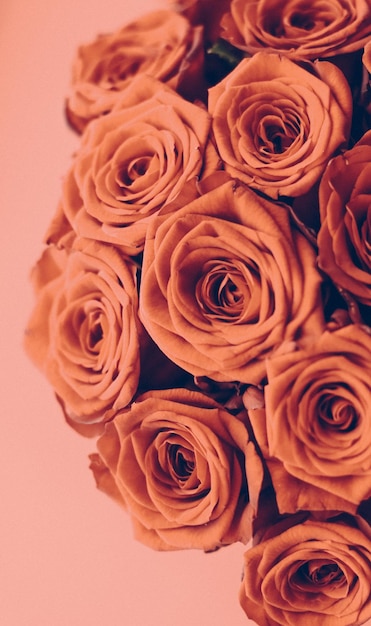 Vintage Luksusowy Bukiet Kwiatów Pomarańczowych Róż W Rozkwicie Jako Kwiatowy Tło Wakacje