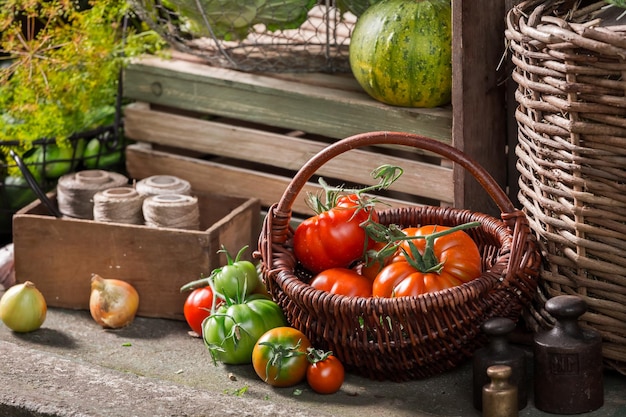 Zdjęcie vintage piwnica z zebranymi warzywami i owocami