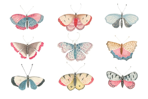 Vintage png motyl i ćma akwarelowy zestaw ilustracji remiksowany z XVIII-wiecznych dzieł sztuki z archiwum Smithsonian