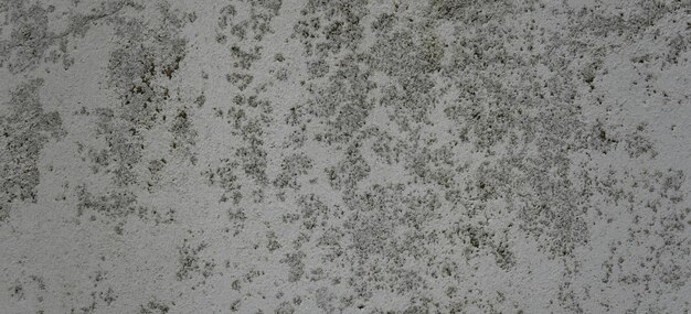 vintage teksturowana tekstura cementu