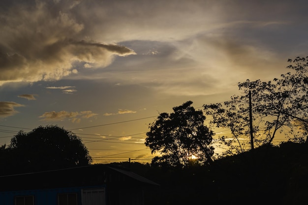 Vista de hermoso atardecer entre los arboles.