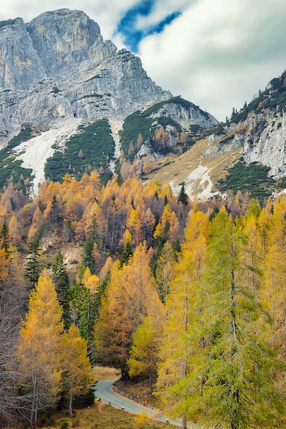 Vrsic Pass - alpejska droga w Słowenii otoczona kolorowymi drzewami w sezonie jesiennym
