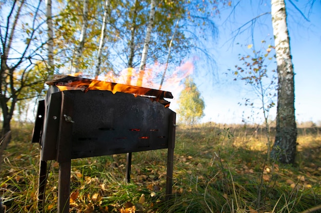 W palenisku płonie ogień na tle przyrody i lasu