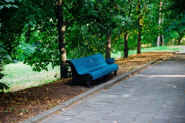 W parku miejskim znajduje się niebieska drewniana ławka Pusta ławka wśród drzew Odpocznij i pospaceruj po lesie