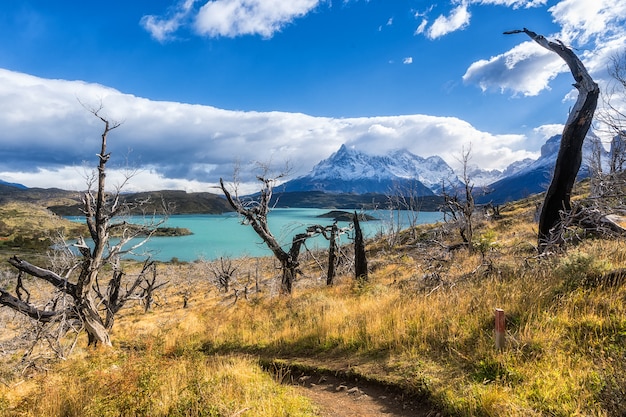 W parku narodowym Torres del Paine, Patagonia, Chile.