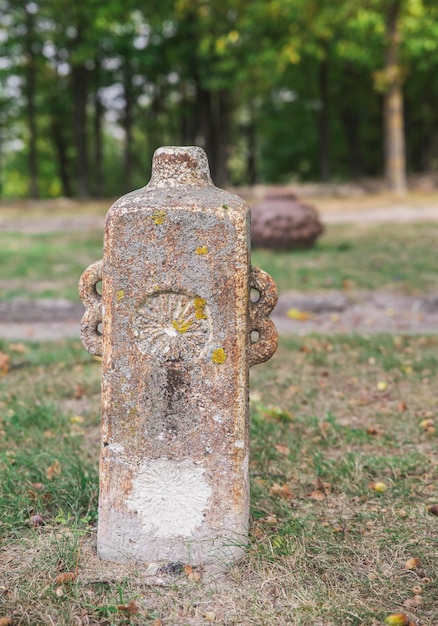 Zdjęcie w parku stoi antyczny betonowy wazon