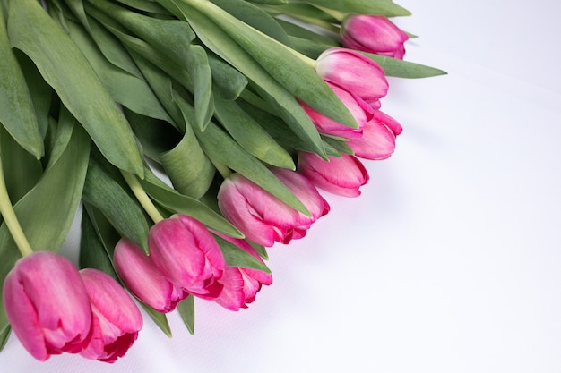 W rogu ramy znajdują się różowe pąki tulipanów z zielonymi liśćmi i łodygami
