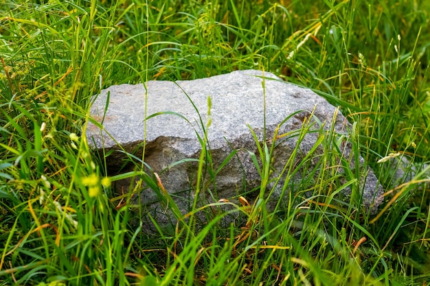 W zielonej trawie leży duży granitowy kamień