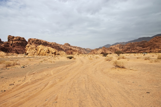 Wadi Disah, kanion Al Shaq, Arabia Saudyjska