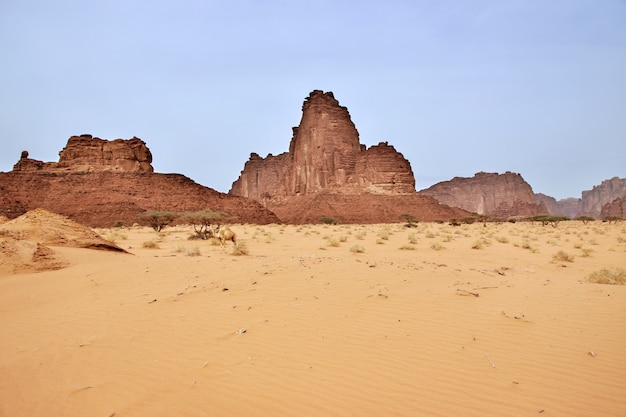 Wadi Disah, kanion Al Shaq