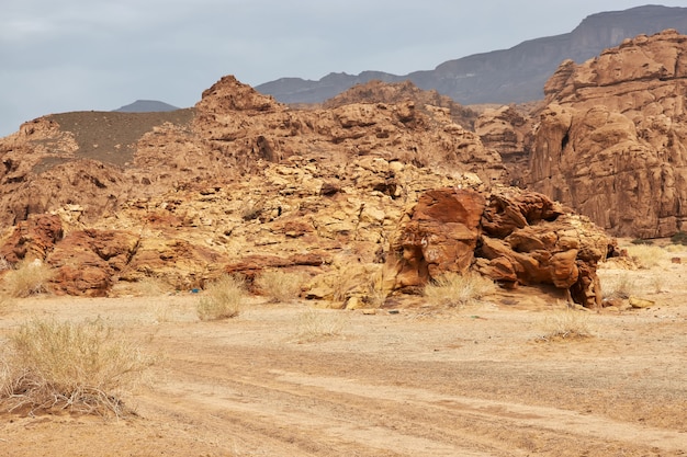 Wadi Disah W Kanionie Al Shaq W Arabii Saudyjskiej