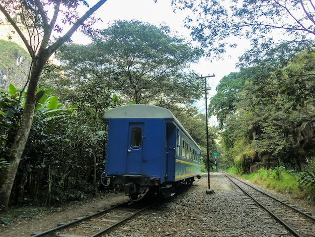 Wagony pociągu i wokół dżungli w cusco - peru
