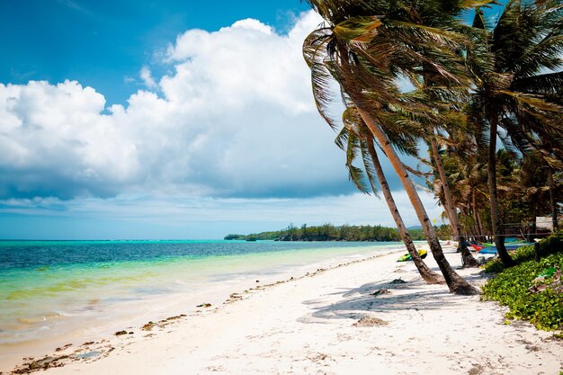 Wakacje letnie wakacje w tle tapety słoneczny tropikalny raj na Karaibach plaża z białym piaskiem na Seszelach Wyspa Praslin Tajlandia styl z palmami