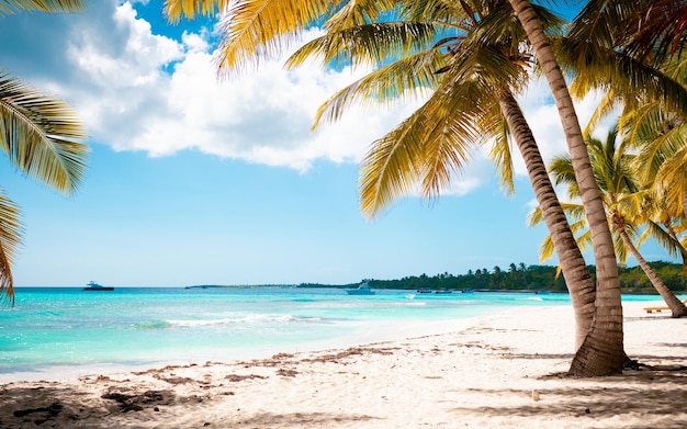 Wakacje Letnie Wakacje W Tle Tapety Słoneczny Tropikalny Raj Na Karaibach Plaża Z Białym Piaskiem Na Seszelach Wyspa Praslin Tajlandia Styl Z Palmami