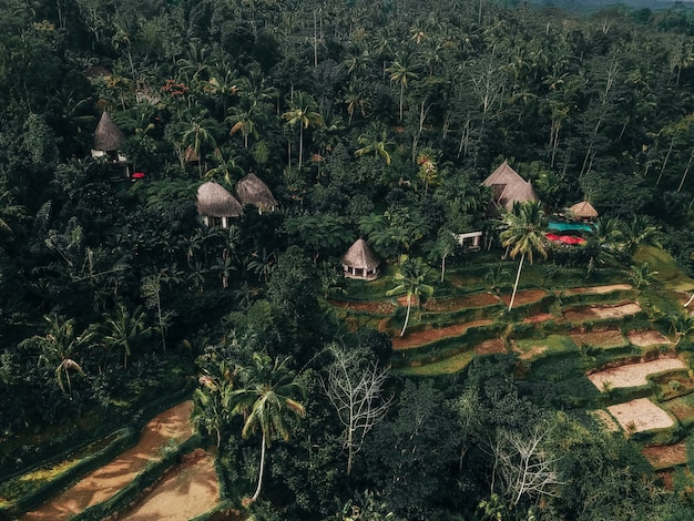 Wakacyjny weekend relaksujący w luksusie z tropikalną willą Jungle Bali, Indonezja