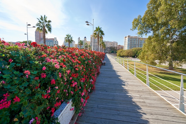 Zdjęcie walencja puente de las flores most kwiaty