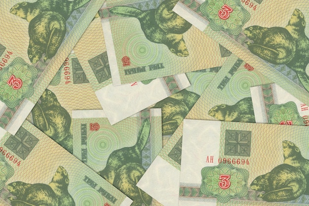 Zdjęcie waluta z białorusi białoruskie banknoty zbliż pieniądze z białorusi białoruski rubel3d render