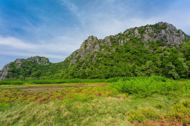 Wapienne góry w Azji