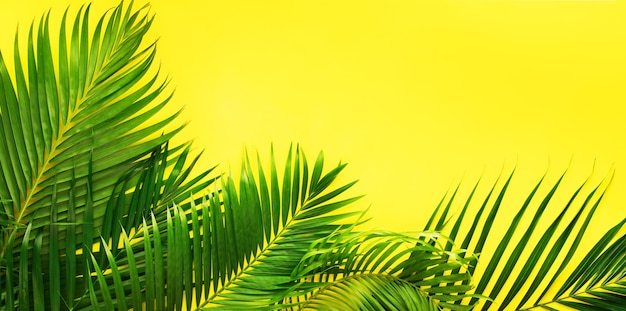 Wariacje Tropical Palm Leaves Yellow Flat Lay