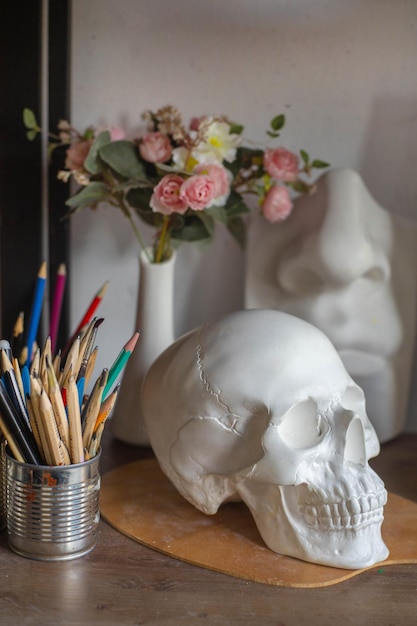 Warsztat artysty. gipsowa czaszka, słoik ołówków, kwiaty