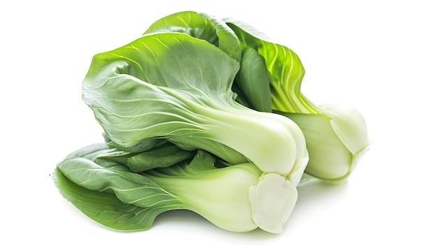 Warzywo bok choy odizolowane na białym tle