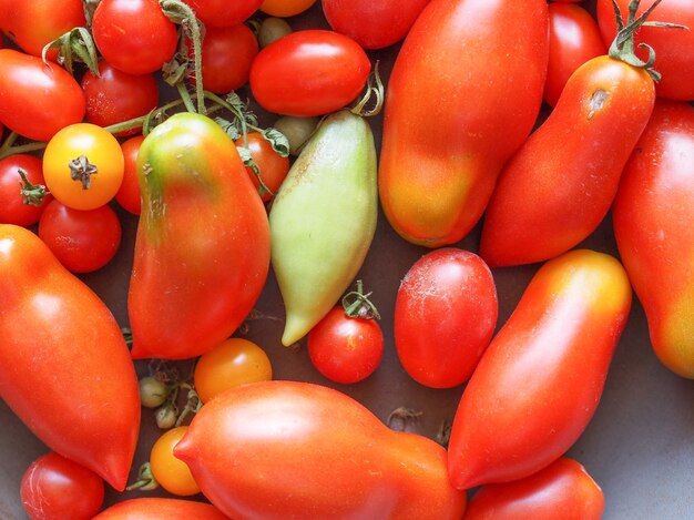 Warzywo pomidorowe