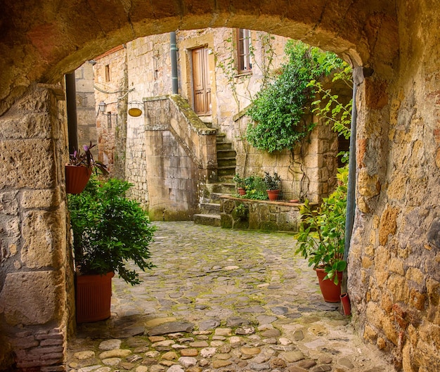 Wąska ulica średniowiecznego miasta tufowego Sorano z łukiem, zielonymi roślinami i brukiem, podróż Włochy tło