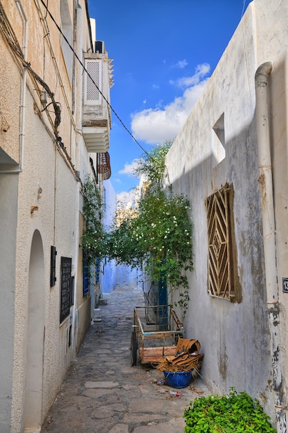 Wąska ulica starożytnej Medina Hammamet Tunezja Mediterranea