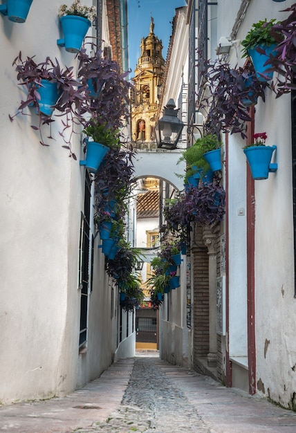 Wąska uliczka Flores w Kordobie i wieża meczetu w tle